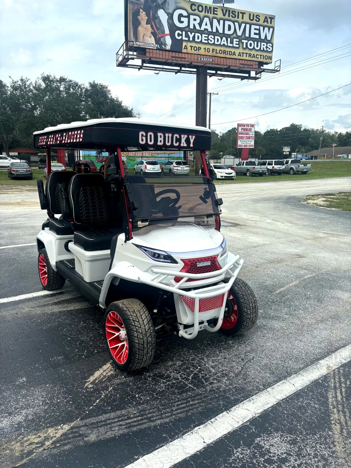 Fully custom Wisconsin Badgers canvas top with lettered valances on a white lifted cart